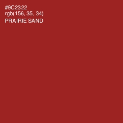 #9C2322 - Prairie Sand Color Image